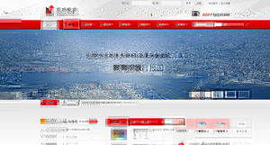 北京網(wǎng)站建設(shè)與互聯(lián)網(wǎng)營銷案例展示