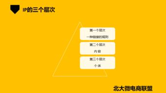 北大微電商聯盟 移動互聯網時代的企業IP與品牌營銷新路徑